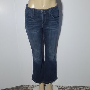 Pilcro Anthropologie Women's Dark Wash Flare Blue Jeans Size 31P